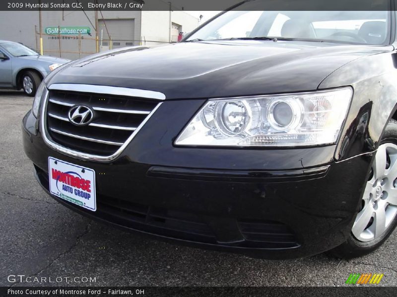 Ebony Black / Gray 2009 Hyundai Sonata GLS