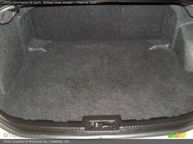 Brilliant Silver Metallic / Charcoal Black 2009 Ford Fusion SE Sport