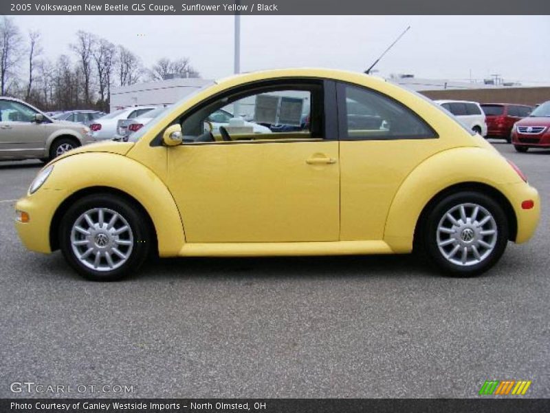 Sunflower Yellow / Black 2005 Volkswagen New Beetle GLS Coupe