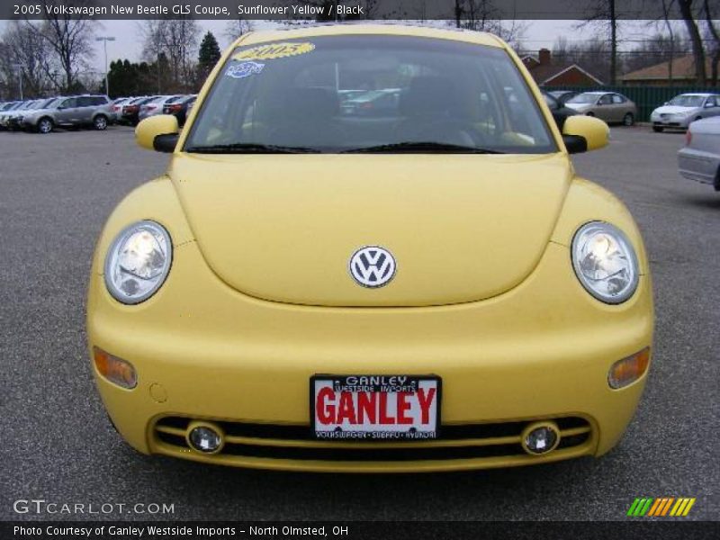 Sunflower Yellow / Black 2005 Volkswagen New Beetle GLS Coupe