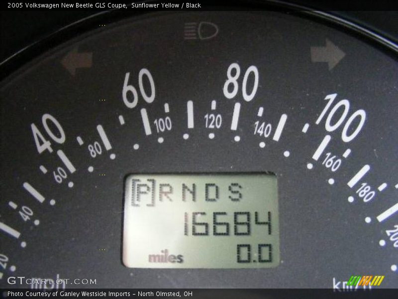 Sunflower Yellow / Black 2005 Volkswagen New Beetle GLS Coupe