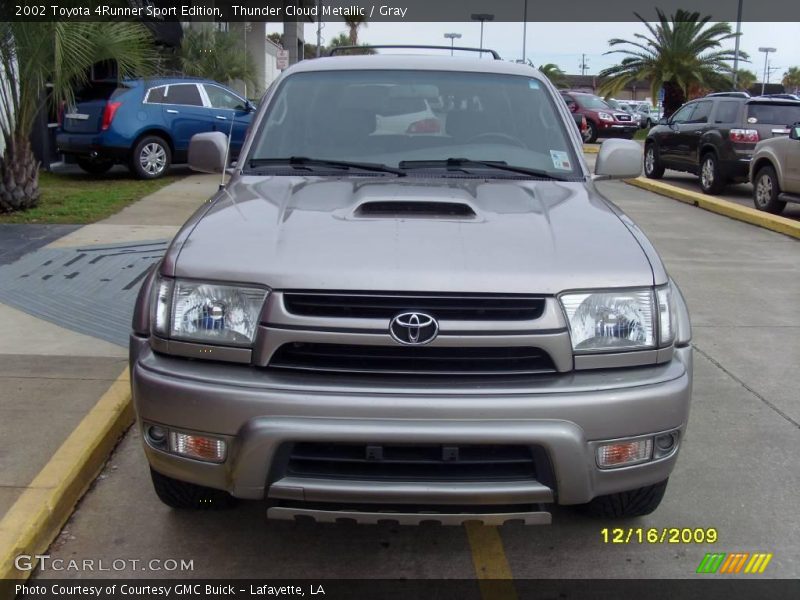 Thunder Cloud Metallic / Gray 2002 Toyota 4Runner Sport Edition