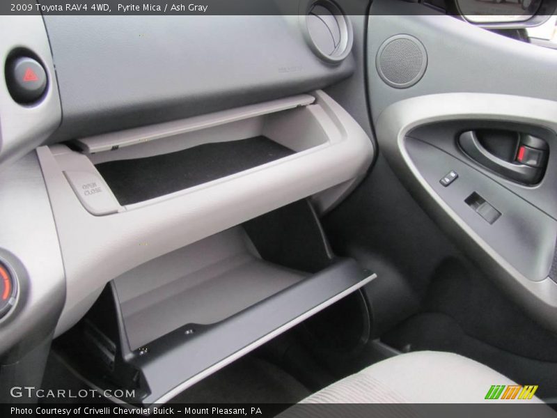 Pyrite Mica / Ash Gray 2009 Toyota RAV4 4WD
