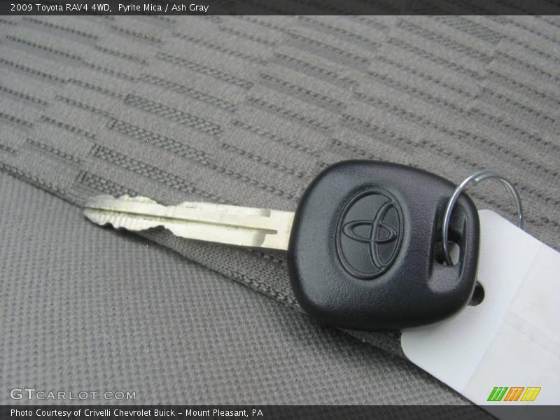 Pyrite Mica / Ash Gray 2009 Toyota RAV4 4WD