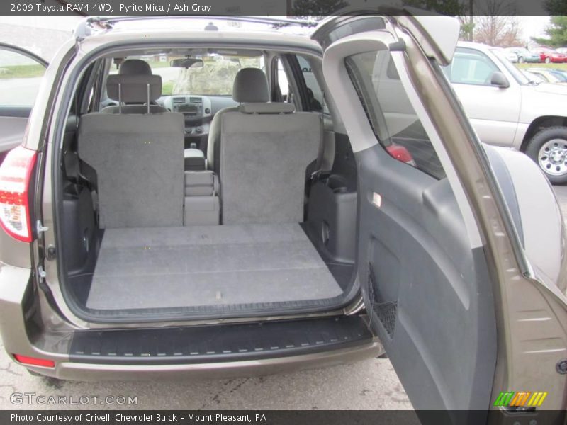 Pyrite Mica / Ash Gray 2009 Toyota RAV4 4WD