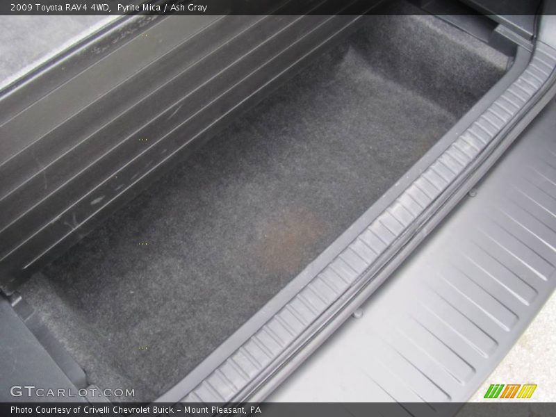 Pyrite Mica / Ash Gray 2009 Toyota RAV4 4WD