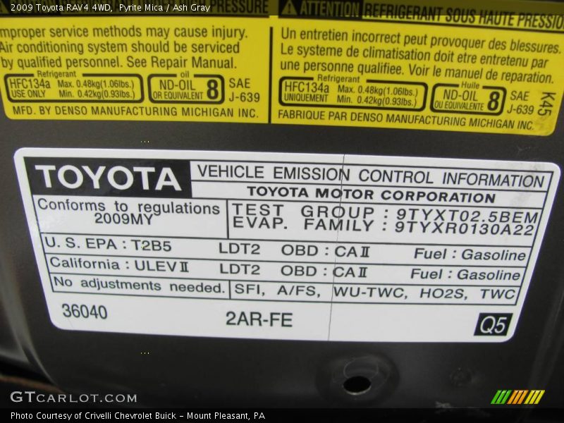 Pyrite Mica / Ash Gray 2009 Toyota RAV4 4WD