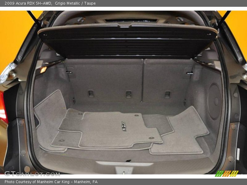 Grigio Metallic / Taupe 2009 Acura RDX SH-AWD