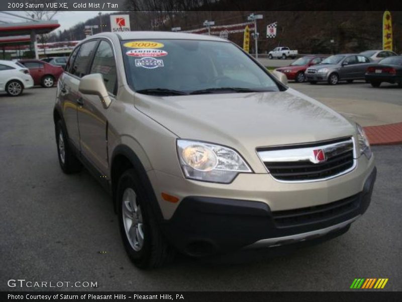 Gold Mist / Tan 2009 Saturn VUE XE