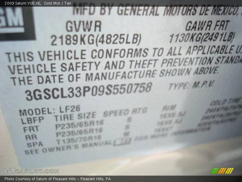 Gold Mist / Tan 2009 Saturn VUE XE
