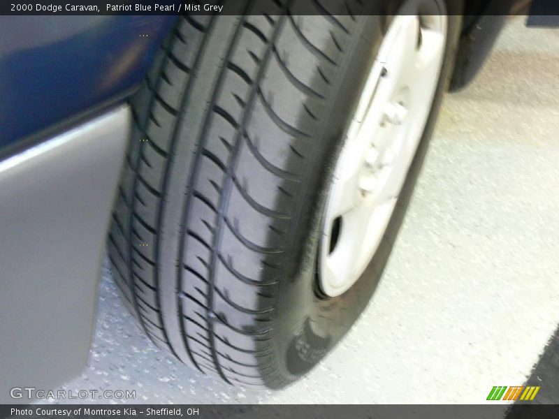 Patriot Blue Pearl / Mist Grey 2000 Dodge Caravan