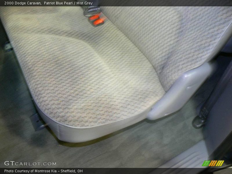 Patriot Blue Pearl / Mist Grey 2000 Dodge Caravan