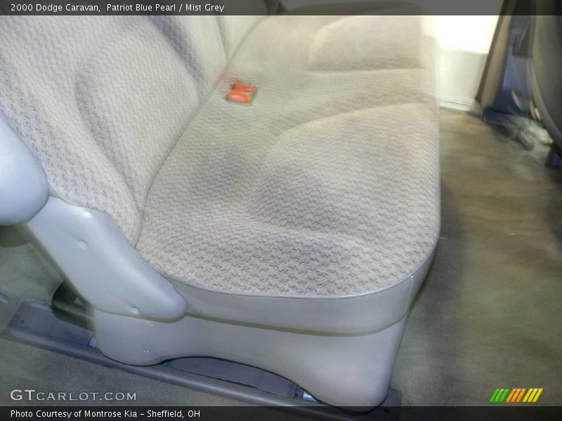 Patriot Blue Pearl / Mist Grey 2000 Dodge Caravan