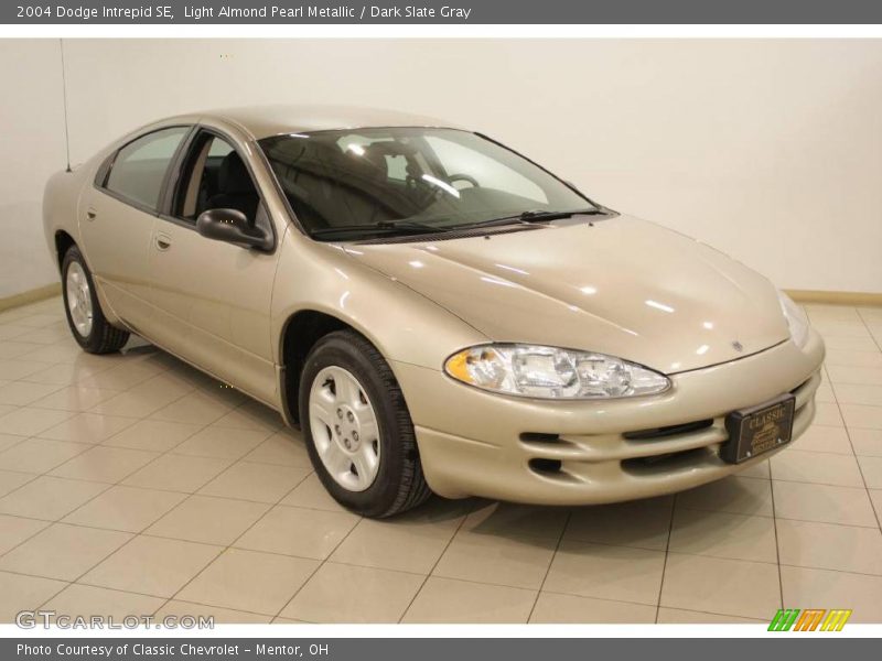 Light Almond Pearl Metallic / Dark Slate Gray 2004 Dodge Intrepid SE