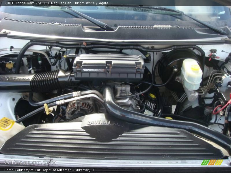 Bright White / Agate 2001 Dodge Ram 2500 ST Regular Cab