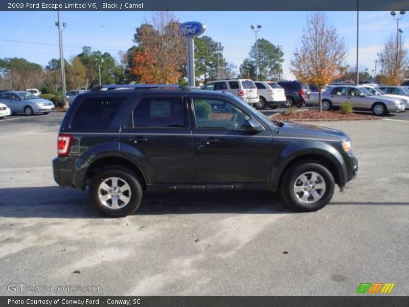 Black / Camel 2009 Ford Escape Limited V6