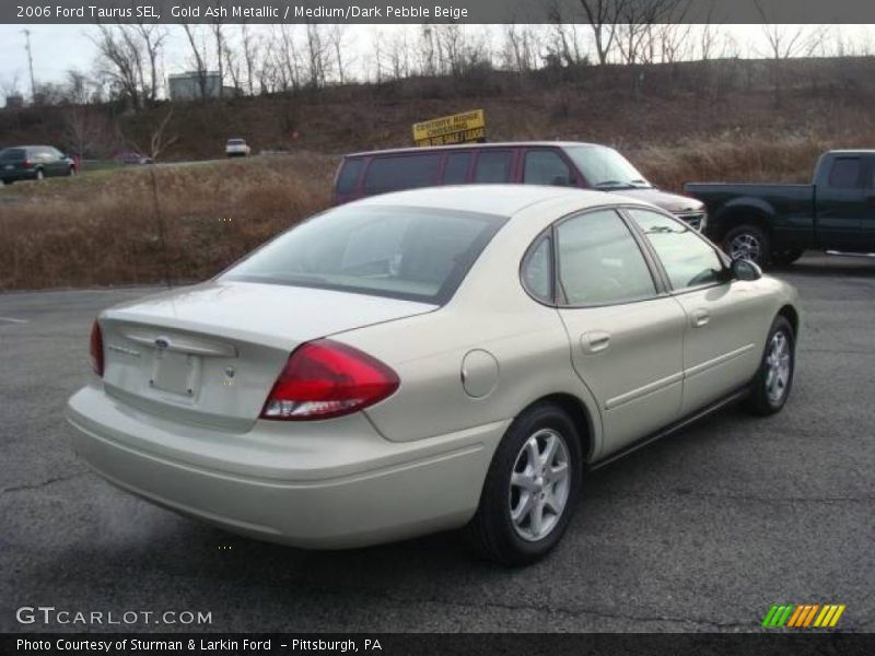 Gold Ash Metallic / Medium/Dark Pebble Beige 2006 Ford Taurus SEL