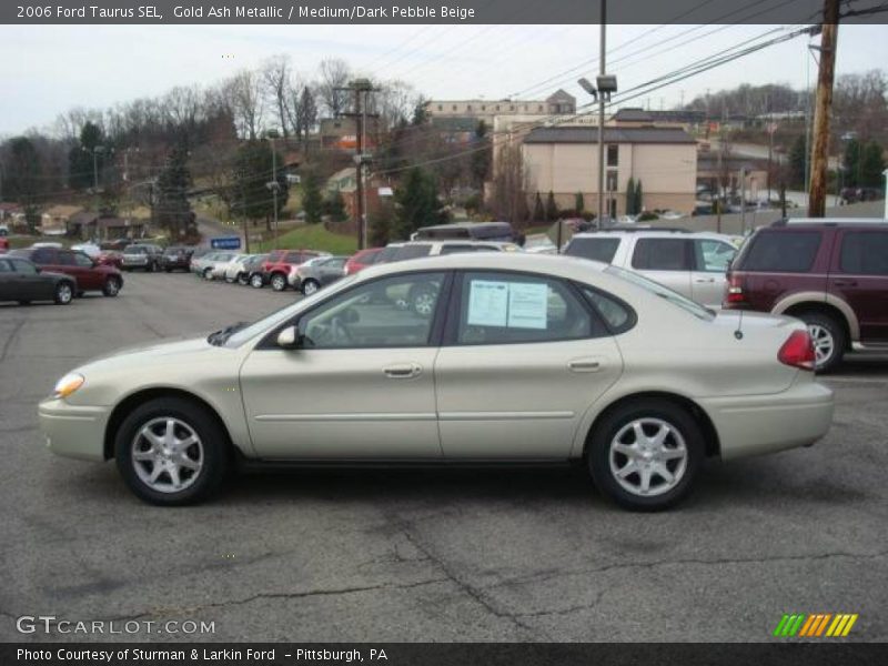 Gold Ash Metallic / Medium/Dark Pebble Beige 2006 Ford Taurus SEL
