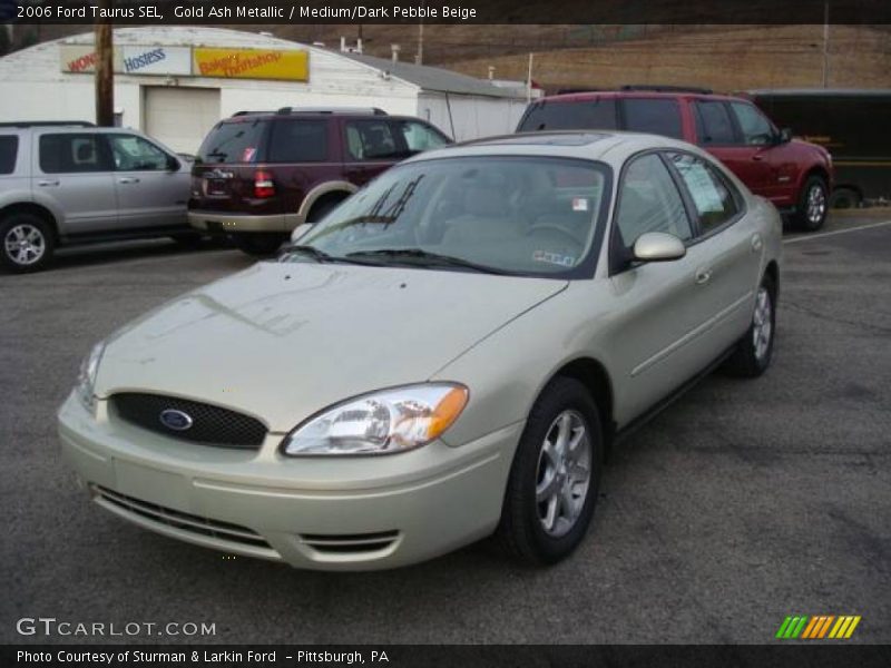 Gold Ash Metallic / Medium/Dark Pebble Beige 2006 Ford Taurus SEL