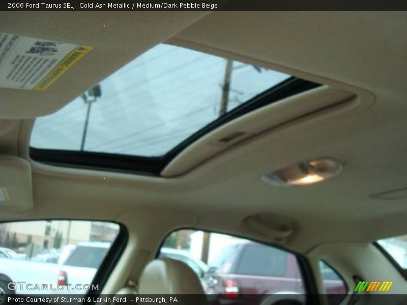Gold Ash Metallic / Medium/Dark Pebble Beige 2006 Ford Taurus SEL