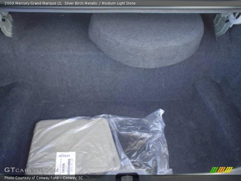 Silver Birch Metallic / Medium Light Stone 2009 Mercury Grand Marquis LS