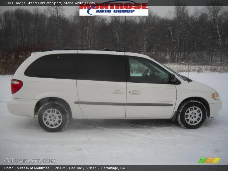 Stone White / Gray 2001 Dodge Grand Caravan Sport