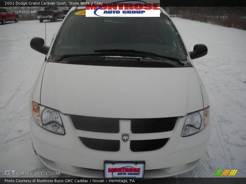 Stone White / Gray 2001 Dodge Grand Caravan Sport