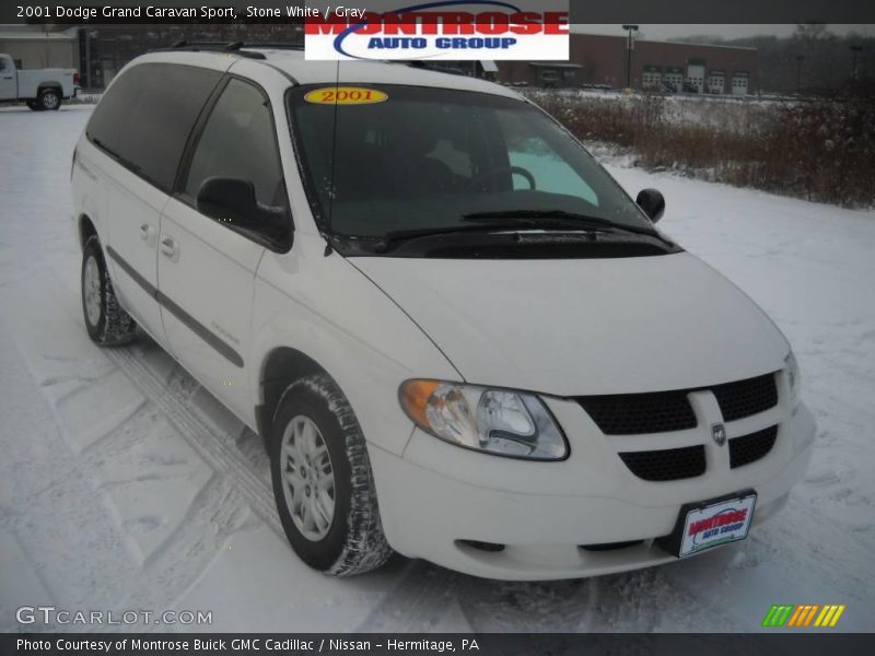 Stone White / Gray 2001 Dodge Grand Caravan Sport