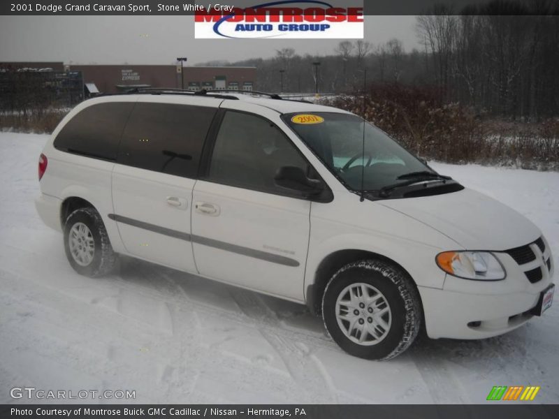 Stone White / Gray 2001 Dodge Grand Caravan Sport