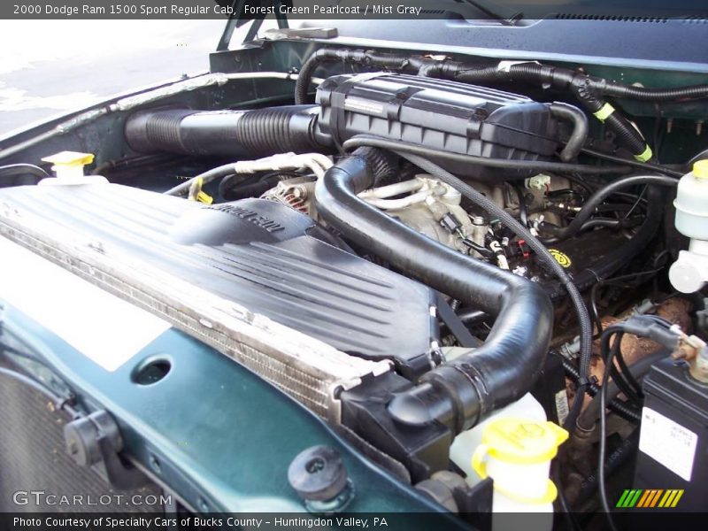 Forest Green Pearlcoat / Mist Gray 2000 Dodge Ram 1500 Sport Regular Cab