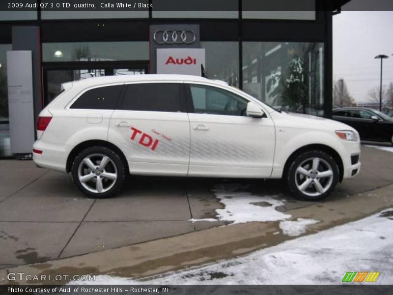 Calla White / Black 2009 Audi Q7 3.0 TDI quattro