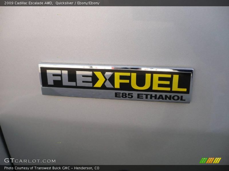 Quicksilver / Ebony/Ebony 2009 Cadillac Escalade AWD