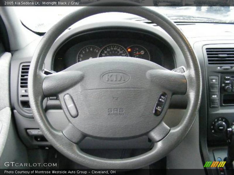 Midnight Black / Gray 2005 Kia Sedona LX