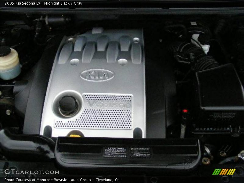 Midnight Black / Gray 2005 Kia Sedona LX
