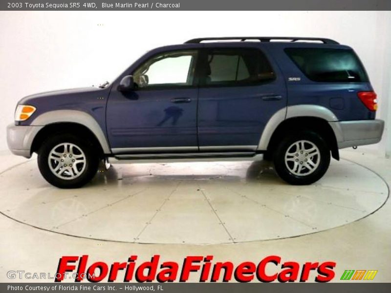 Blue Marlin Pearl / Charcoal 2003 Toyota Sequoia SR5 4WD