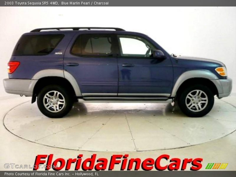 Blue Marlin Pearl / Charcoal 2003 Toyota Sequoia SR5 4WD