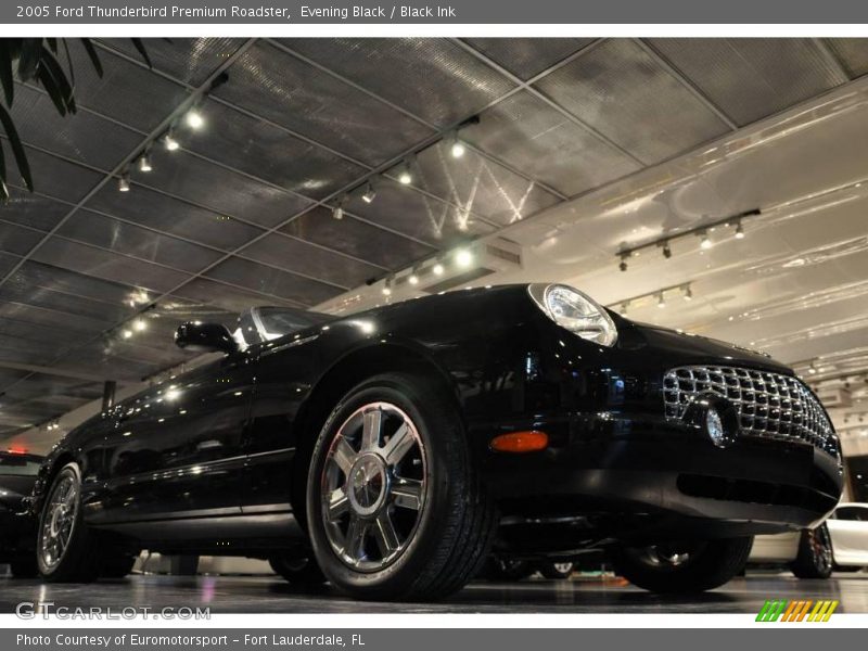 Evening Black / Black Ink 2005 Ford Thunderbird Premium Roadster