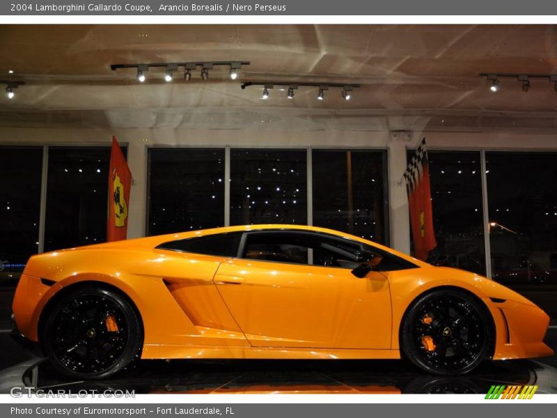 Arancio Borealis / Nero Perseus 2004 Lamborghini Gallardo Coupe