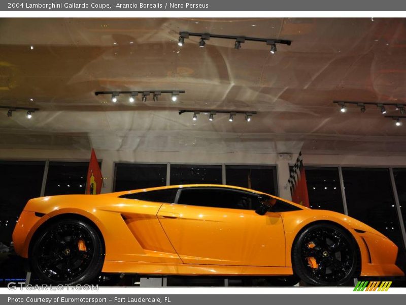 Arancio Borealis / Nero Perseus 2004 Lamborghini Gallardo Coupe