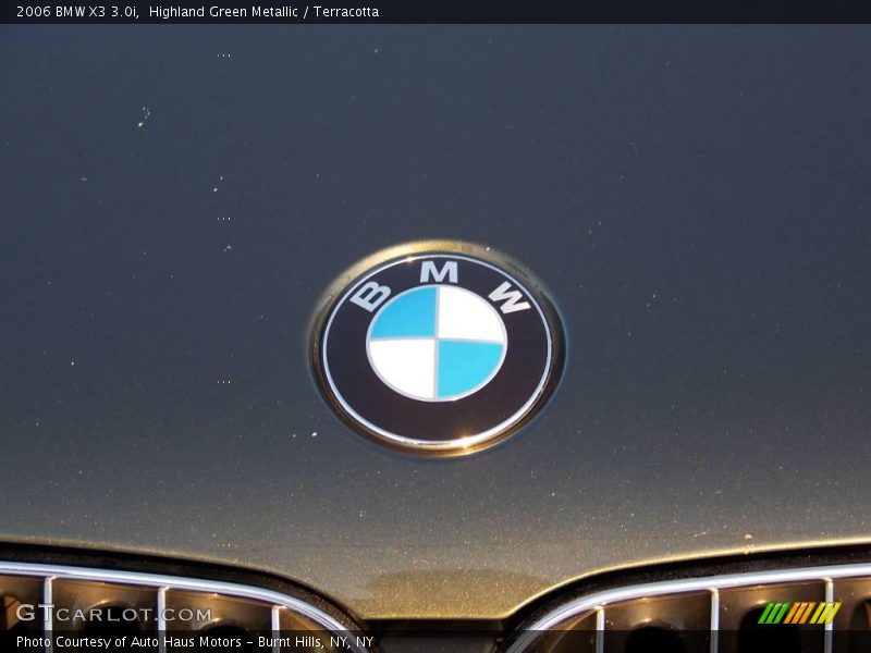 Highland Green Metallic / Terracotta 2006 BMW X3 3.0i