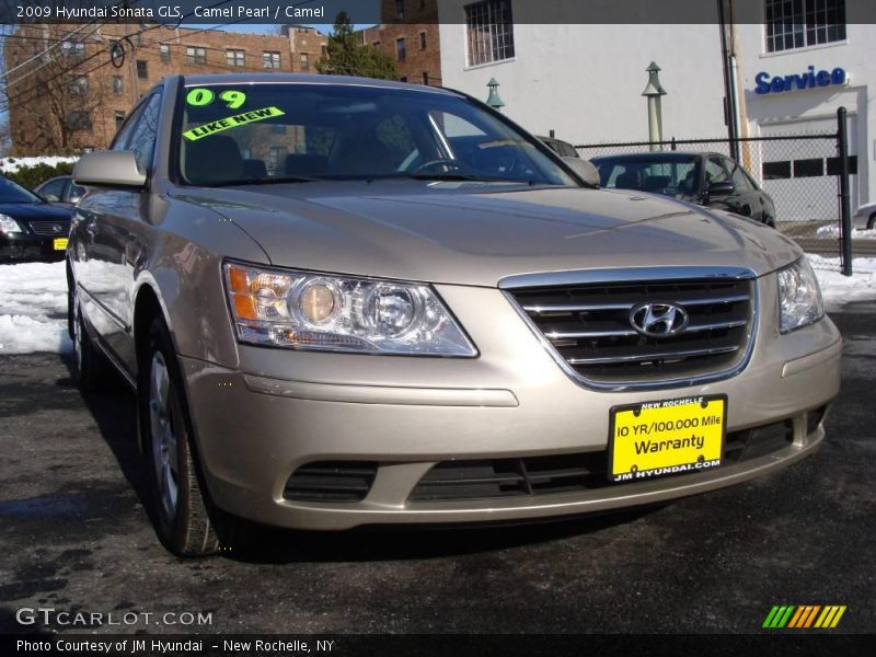 Camel Pearl / Camel 2009 Hyundai Sonata GLS