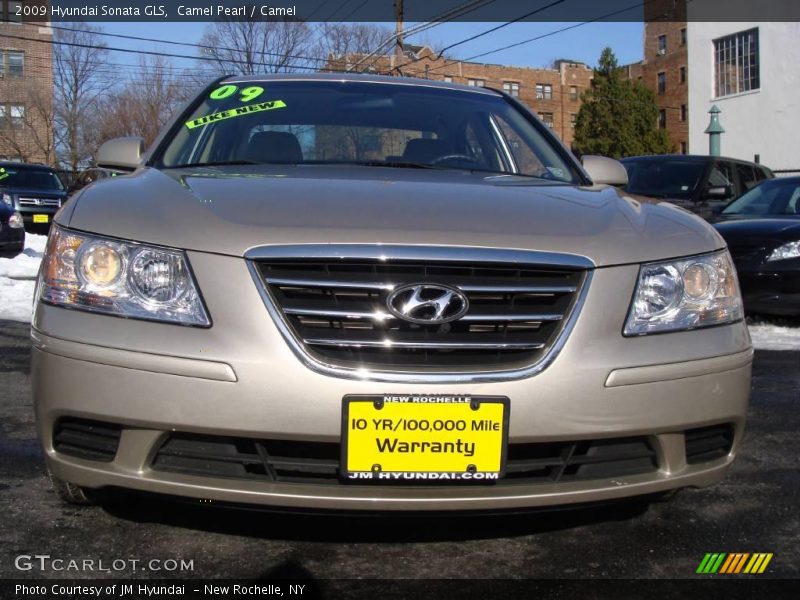 Camel Pearl / Camel 2009 Hyundai Sonata GLS