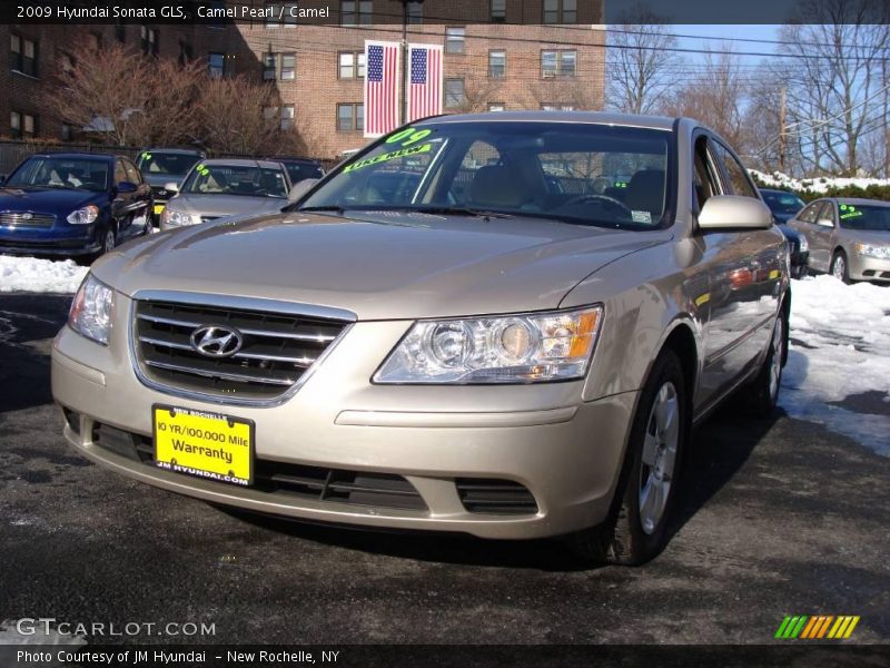 Camel Pearl / Camel 2009 Hyundai Sonata GLS