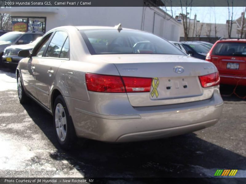 Camel Pearl / Camel 2009 Hyundai Sonata GLS