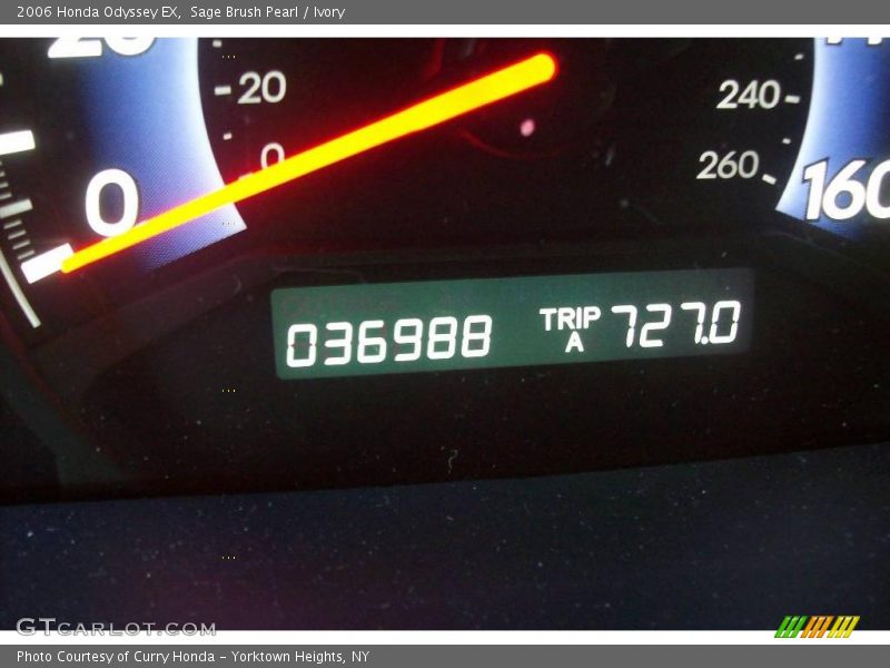 Sage Brush Pearl / Ivory 2006 Honda Odyssey EX