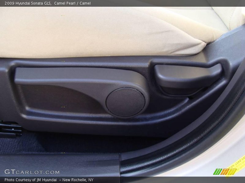 Camel Pearl / Camel 2009 Hyundai Sonata GLS