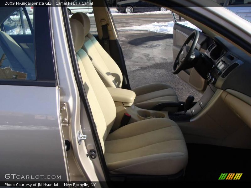 Camel Pearl / Camel 2009 Hyundai Sonata GLS