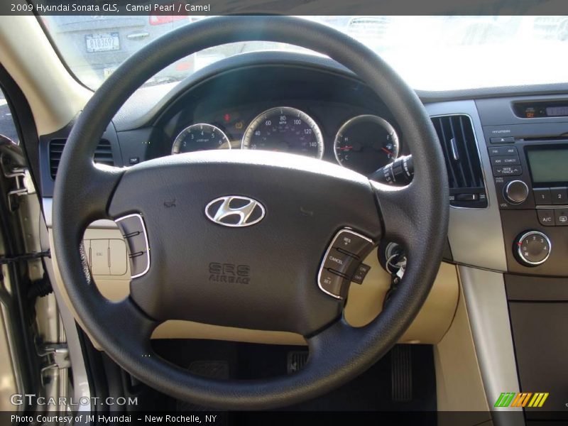 Camel Pearl / Camel 2009 Hyundai Sonata GLS