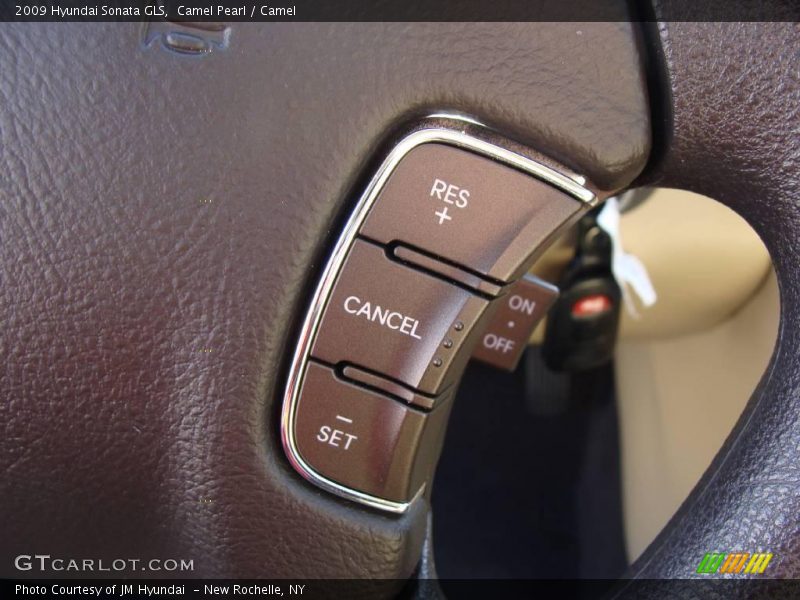 Camel Pearl / Camel 2009 Hyundai Sonata GLS