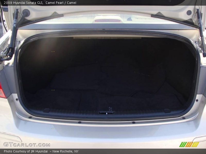 Camel Pearl / Camel 2009 Hyundai Sonata GLS